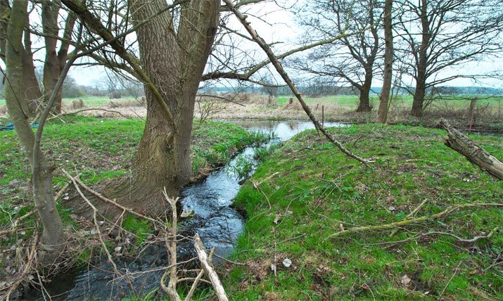 Ablauf der Kläranlage Dobbertin in die Mildenitz