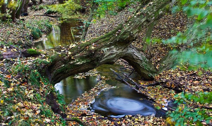 Flächennaturdenkmal Aalbach bei Wessentin