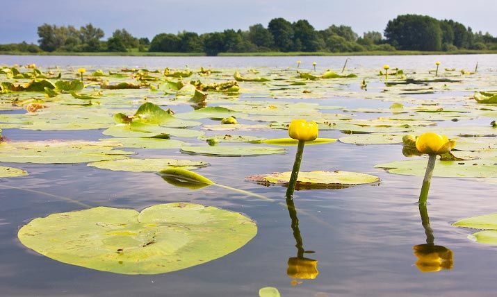 Blick über den Dobbertiner See