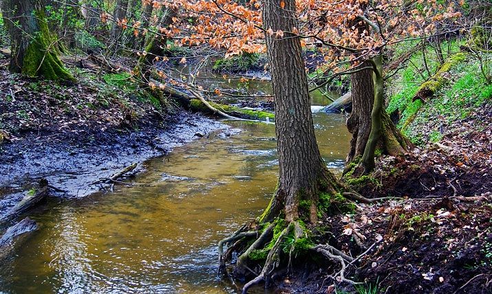 Flächennaturdenkmal Aalbach bei Wessentin