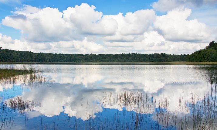 Langenhägener See